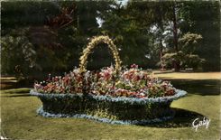 Tours - Le jardin Botanique - Le Panier Fleuri - CPA 