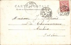 Tours CPA l'hopital Vue prise du jardin des plantes