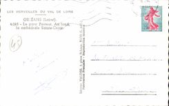 Orleans CPA the park Pasteur Cathedral Sainte Cross