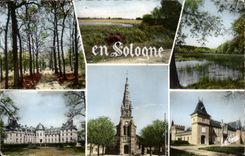 Landscapes of the Sologne CPA Castle of SAlbris Church of Lamotte Beuvron FErte Saint Aubin