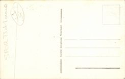 CPA Chamonix L'arve et le Mont Blanc