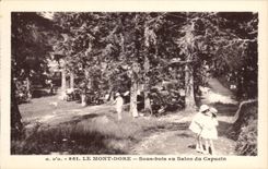 The Mount Gilds - Under Bois with the Living room of the Capuchin - CPA