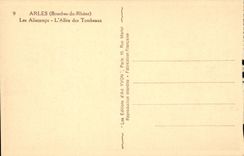 Arles - Aliscamps - Allee of the Tombs - CPA