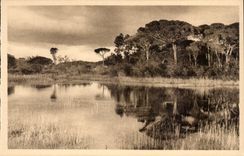 Hyeres - Landschaft auf der Strasse des Strandes CPA