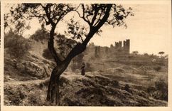 Hyeres - das alte Schloss gesehen durch Olive-Baume CPA