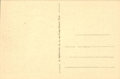 Versailles - Park of Versailles - the Basin of Neptune - CPA