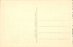 Auvergne - Pretty banks of the Lake Chambon - CPA