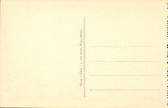 Saint Nectary - the Castle - CPA