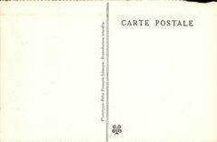 Caves of Betharram - Column of Palm trees CPA