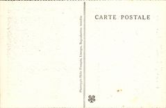 Caves of Betharram - columns in formation CPA