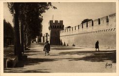 Gaumen Avignon-CPA der Papstwande