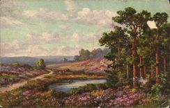 CPA Paysage de foret