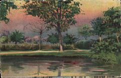 Baume - entspannende Szene CPA