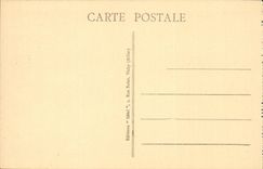 CPA Auvergne a corner of the lake Pavin