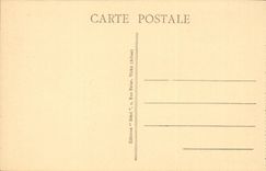 CPA Auvergne the lake Pavin seen of Puy de Montchal