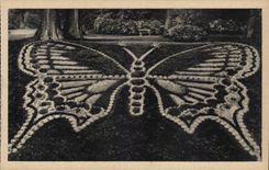 Rouen CPA the butterfly of the botanical garden (butterfly)