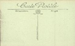 Chamonix CPA Les pratz et le Dru 