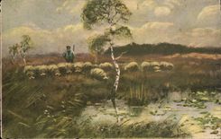 CPA Paysans et ses moutons (sheep)