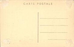 N Froment CPA Le buisson ardente