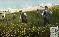 Peasant CPA in the fields