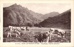 CPA the mount Gilds Landscape Valley of hell (cows)