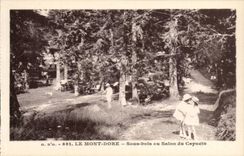 CPA Auvergne Mont Gilds Under wood with the slaon of the Capuchin