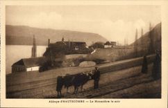 Aix les Bains - Abbey of Hautecombe - Monaster the evening - bull - bulldozer - CPA