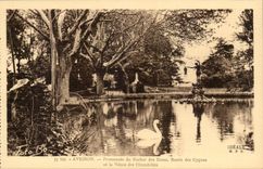 Avignon-Weg des Felsens von Doms - Bassin der Schwane - CPA