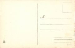 Pau - Castle Henri IV and the Peak of South CPA