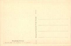Toulouse - Vue Generale sur la Garonne - CPA 