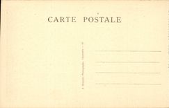 CPA Chamonix Mont Blanc L'Arve et le Mont Blanc