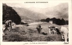 CPA Auvergne the valley of Chaudefour (cows)