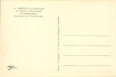 Deauville - der gebluhte Strand - Bretter - der Stab des Sun - CPA