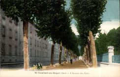 St Rambert in Buget - the Avenue of Quote - CPA
