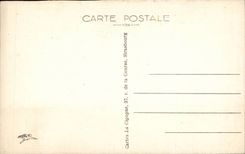 Strasbourg CPA Nest of storks