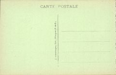 CPA Royat hotels Continental and Royal Palace