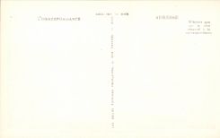 Hyeres Palmen - eine Ecke von Ayguade - CPA