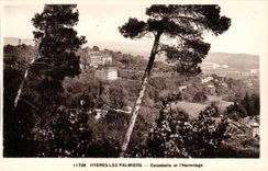 Hyeres Palmen - Costebelle und Einsiedlerei CPA