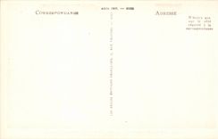 Hyeres Palmen - Costebelle und Einsiedlerei CPA