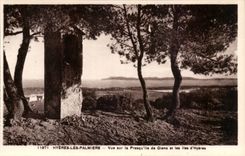 Hyeres Palmen - Anblick auf der Halbinsel von Giens und den Inseln von Hyeres CPA