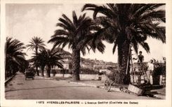 Hyeres Palmen - die Godillot Allee - Versammlungen der Daten CPA