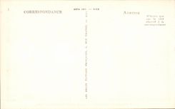 Hyeres Palmen - Anblick auf den Hotels und dem Schloss CPA