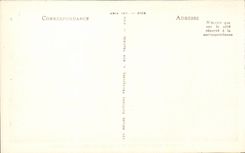 Hyeres Palmen - Ansicht CPA