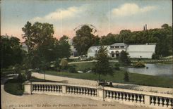 Angers - the Botanical garden - LAllee of the Greenhouses - CPA