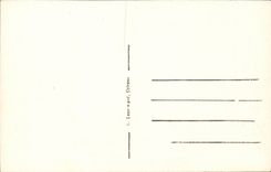 Orleans - Festivals of Jeanne d' Arc - Reigeaux Procession - Eveches CPA