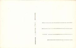 Orleans - Festivals of Jeanne d' Arc - Salute to the colors - CPA