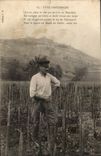 Folklore - Costume - Sancerrois Type - Man - CPA