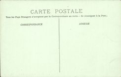 CPA Blois the fountain Louis XII (folklore costume)