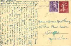 Auvergne - Two Young Villagers Duck Duck CPA