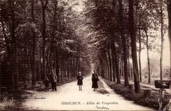 Issoudun - Allee de Frapesles CPA 